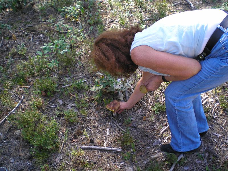 rowtras 070.jpg - c.d.